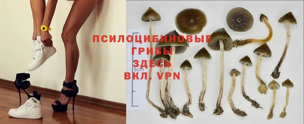 крисы Бугульма