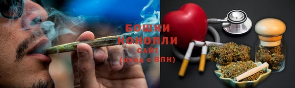 крисы Бугульма