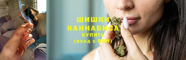 крисы Бугульма