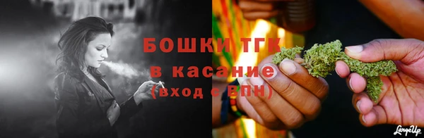 крисы Бугульма