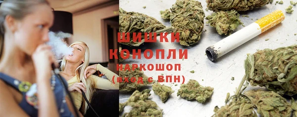 мяу мяу мука Бородино
